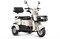 Электротрицикл Rutrike Gelbert Mercury 48V/60V 650Вт Черный-3047 0000265-3047