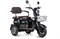 Электротрицикл Rutrike Gelbert Sun 48V/60V 650Вт Черный-3056 0000271-3056