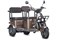 Электротрицикл Wanshida U1-X 60V 800Вт Коричневый-3093 0000307-3093
