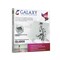 Весы напольные электронные Galaxy GL4800 7080148000