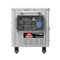 Бензиновый инверторный генератор SUNREKA G7500EAiSM 21175