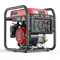 Бензиновый инверторный генератор SUNREKA G4100i 21171