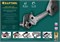 KRAFTOOL MASTERGRIP, 1.5″, 18 - 51 мм, 330 мм, быстрозажимной трубный ключ (27365-14) 27365-14