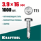 KRAFTOOL DS-P, 16 х 3.9 мм, А2, сверло, полукруглая головка, ТХ15, 1000 шт, саморез нержавеющий (300931-39-016) 300931-39-016