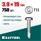 KRAFTOOL DS-P, 19 х 3.9 мм, А2, сверло, полукруглая головка, ТХ15, 750 шт, саморез нержавеющий (300931-39-019) 300931-39-019