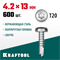 KRAFTOOL DS-P, 13 х 4.2 мм, А2, сверло, полукруглая головка, ТХ20, 600 шт, саморез нержавеющий (300931-42-013) 300931-42-013