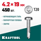 KRAFTOOL DS-P, 19 х 4.2 мм, А2, сверло, полукруглая головка, ТХ20, 450 шт, саморез нержавеющий (300931-42-019) 300931-42-019