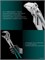 KRAFTOOL Vise-Wrench, 400 мм, клещи переставные-гаечный ключ (22070) 22070