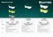 Защитные коричневые очки KRAFTOOL BASIC стекло-моноблок с покрытием уст. к истиранию 110319 - фото 46771 Защитные коричневые очки KRAFTOOL BASIC стекло-моноблок с покрытием уст. к истиранию 110319 - фото 46771