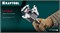 KRAFTOOL EXTREM d 55 х 890/990 мм, SDS-max проломной бур (29356-55-990) 29356-55-990