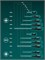 KRAFTOOL X-Drive 11, 11 шт., в кейсе, набор отверток (25811) 25811