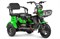 Электротрицикл Rutrike Бумеранг Зеленый-2342 022656-2342