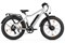 Электровелосипед Eltreco BigCat Dual Next серебристый матовый-3179 026165-3179