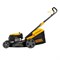 Газонокосилка бензиновая GLD-460, 146 куб.см, ширина 46 см, ручная, 7 уровней, травосборник 50 л Denzel 58802